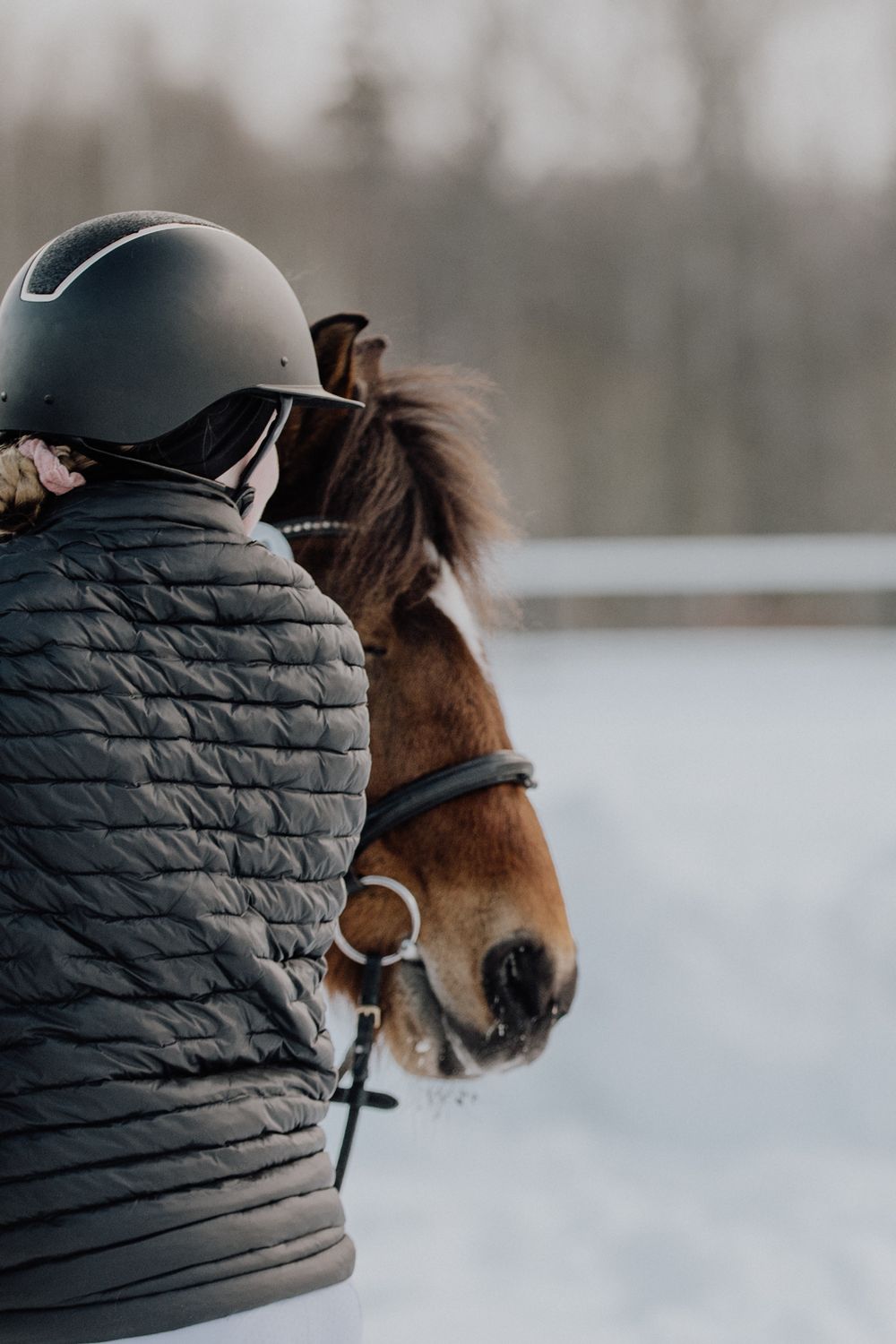 Person in riding helmet and quilted jacket standing next to brown horse in snowy setting.