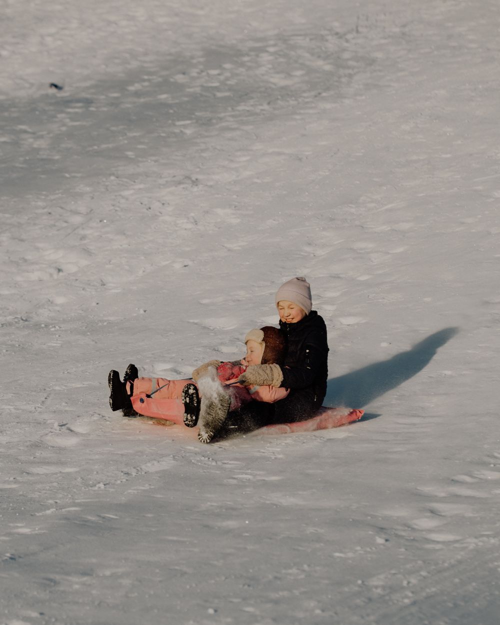 Winter sledding scene on icy snow with long shadows in the afternoon light.