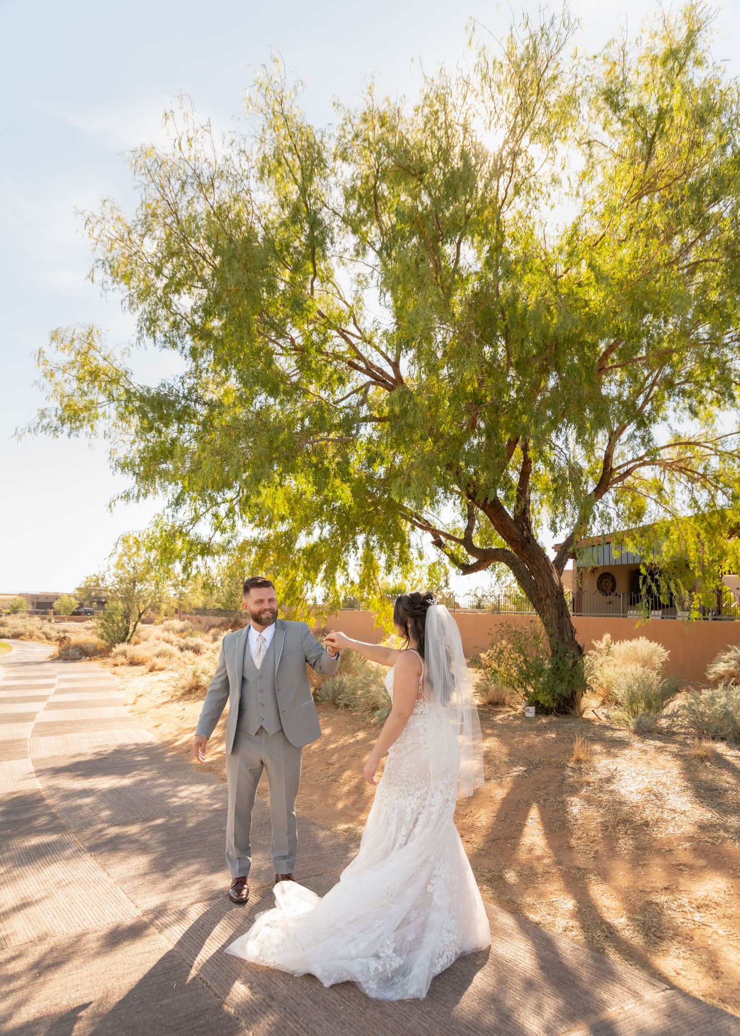 A desert wedding portrait with a couple standing beneath a sunlit willow tree.