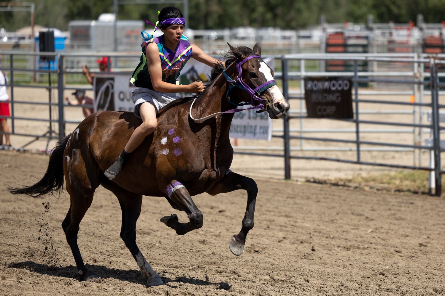 Relay Races with Painted Horses at Millarville Race Track 2023
