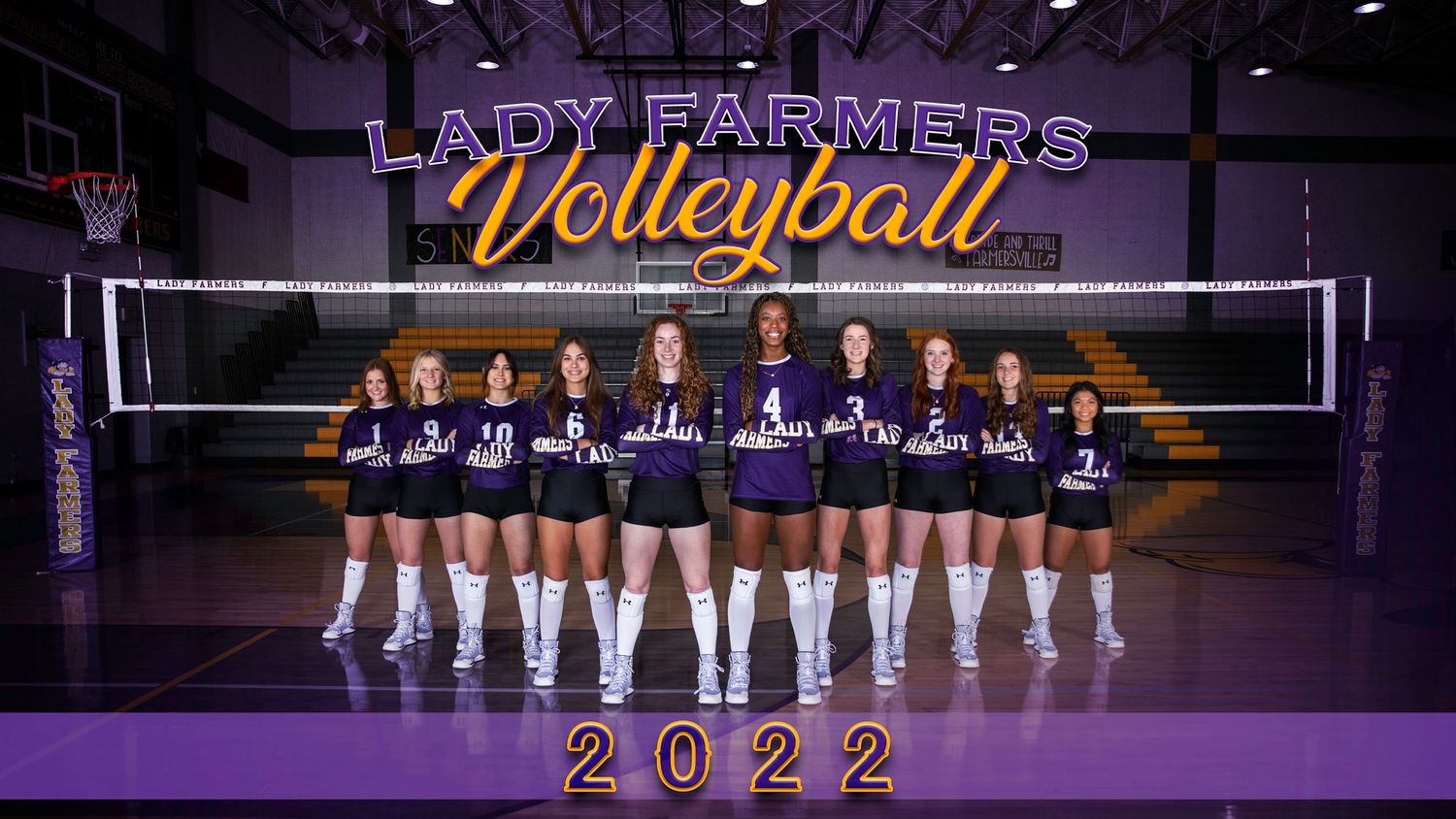 High school volleyball team poses for official team photo in purple uniforms on court.