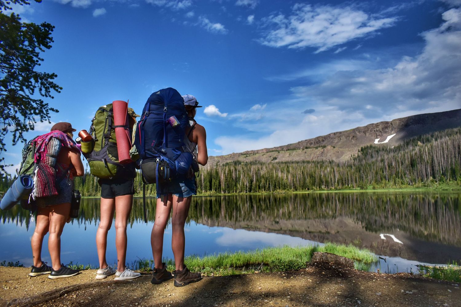 lifestyle photography northern colorado
