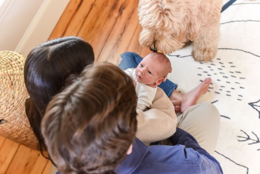 Newborn Photographer Greensboro North Carolina Sarah Marchwiany Triad Photoshoot