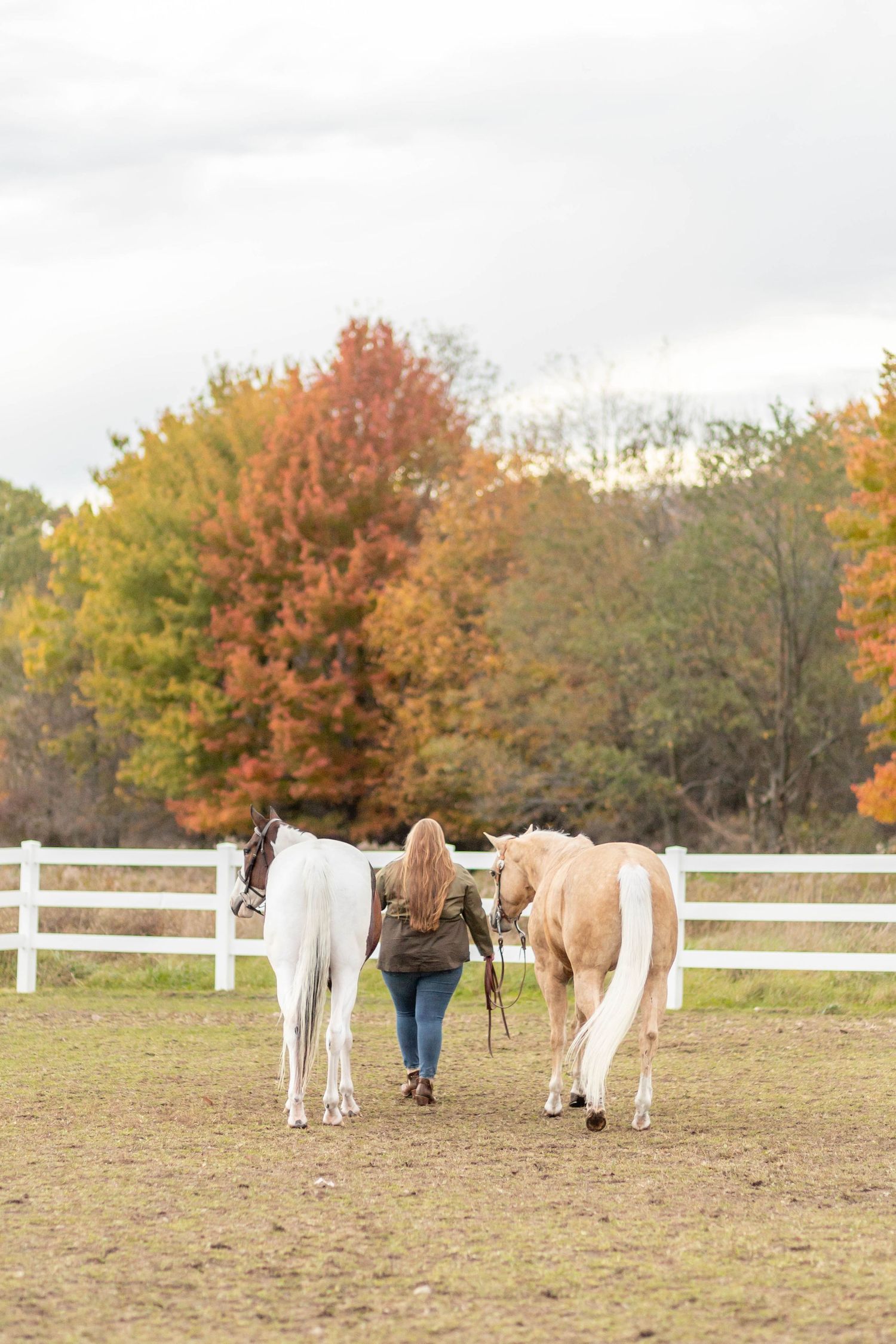 Fall Photoshoot, Cedar Springs, Michigan