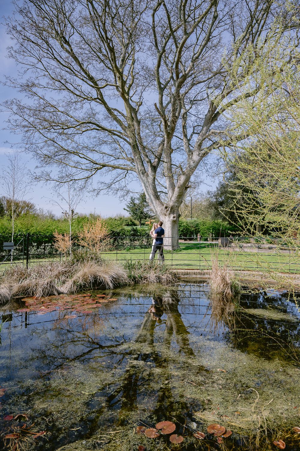 A figure stands beside a reflective pond under a large bare tree in a garden landscape.