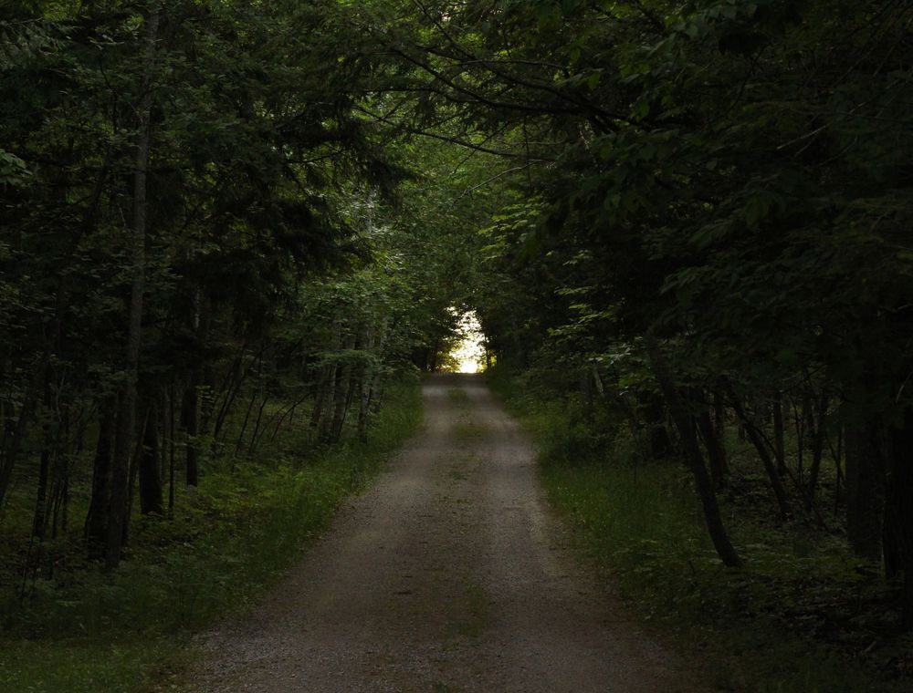 Northern Michigan Photography - Goodhart, Michigan