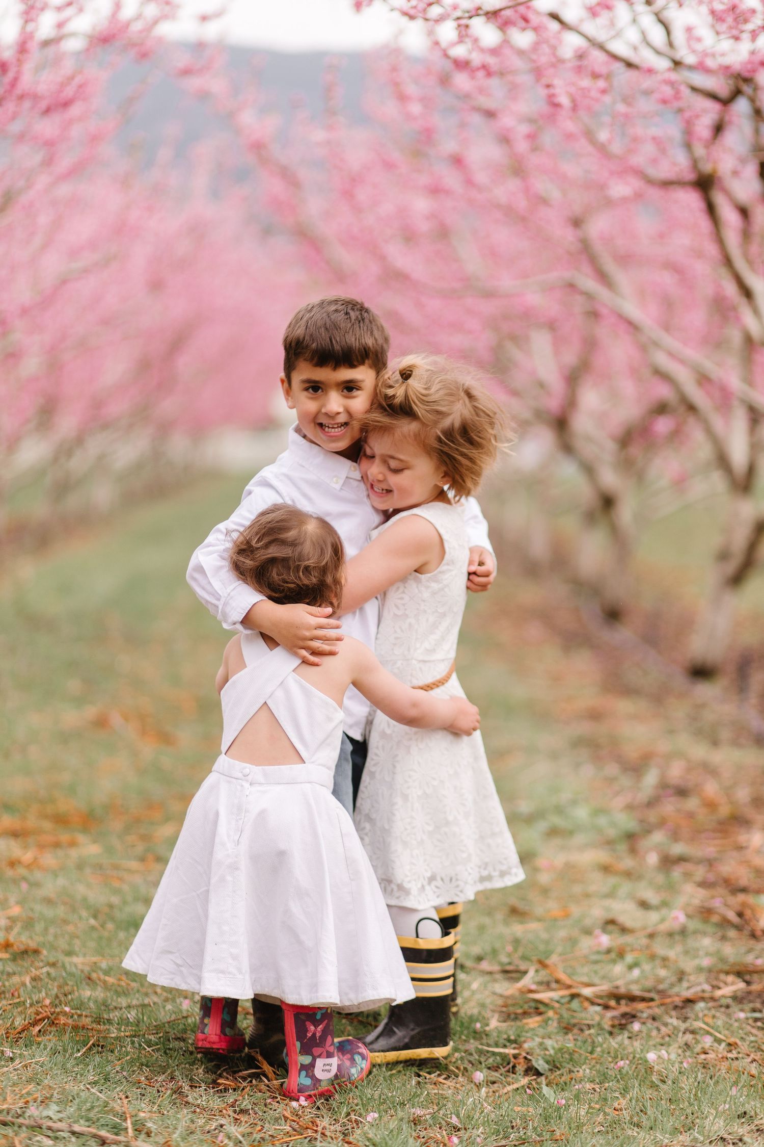 Young children in white outfits play together under pink cherry blossom trees.