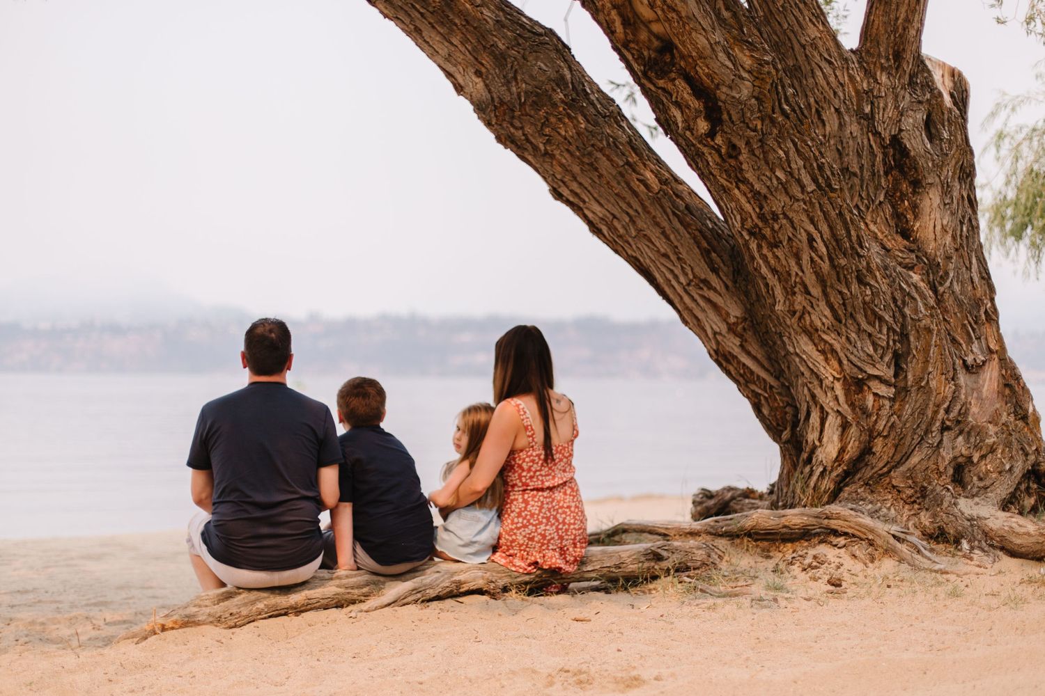 Silhouetted figures sitting under a large tree branch against a scenic backdrop.