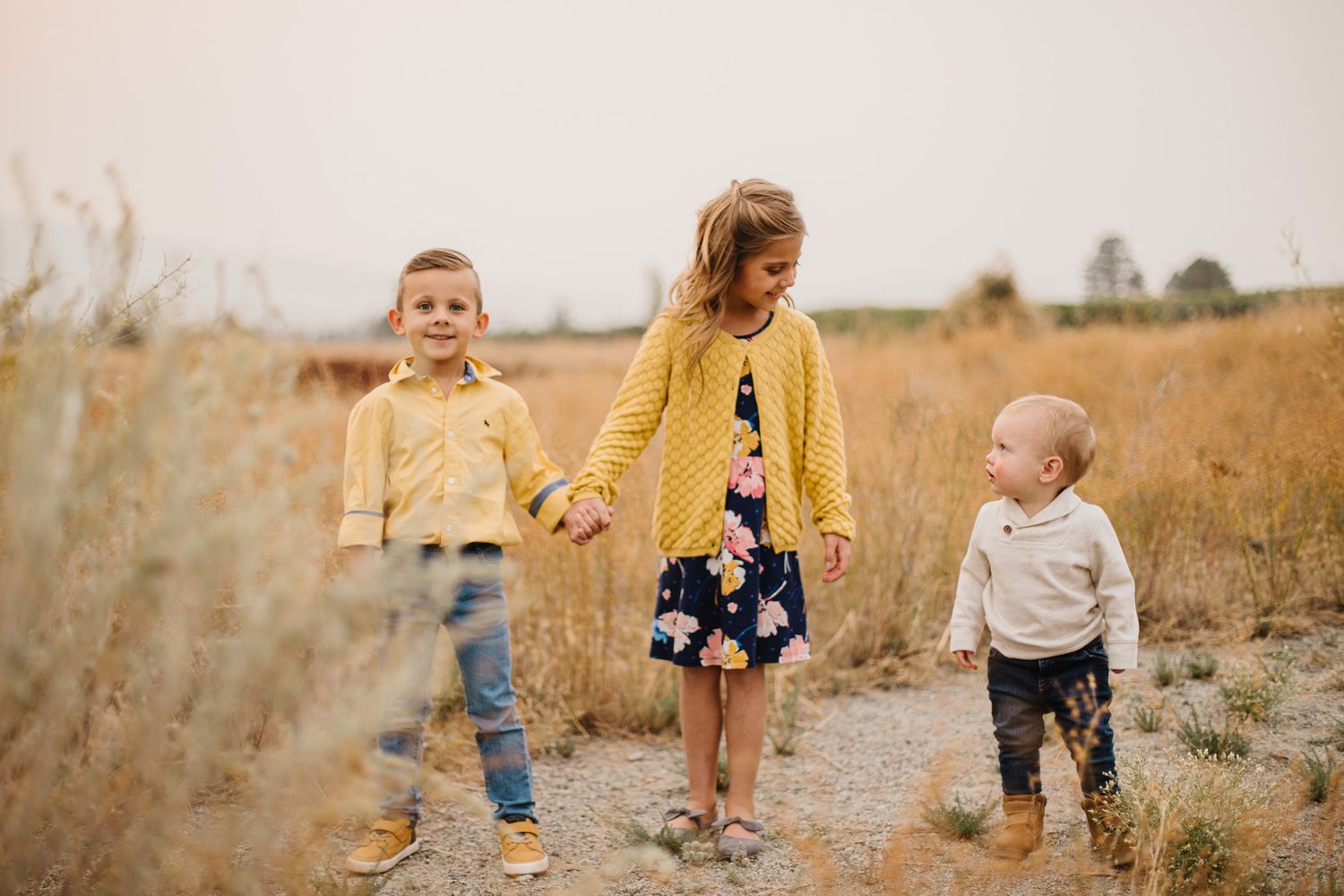 Children play in golden field during sunset family photo session.