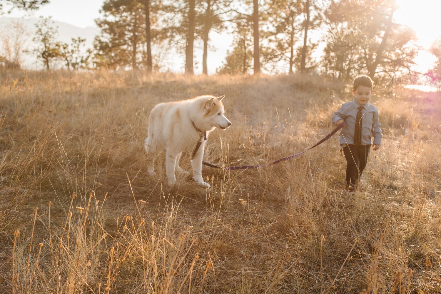 A golden sunset illuminates a grassy field during an outdoor photoshoot.