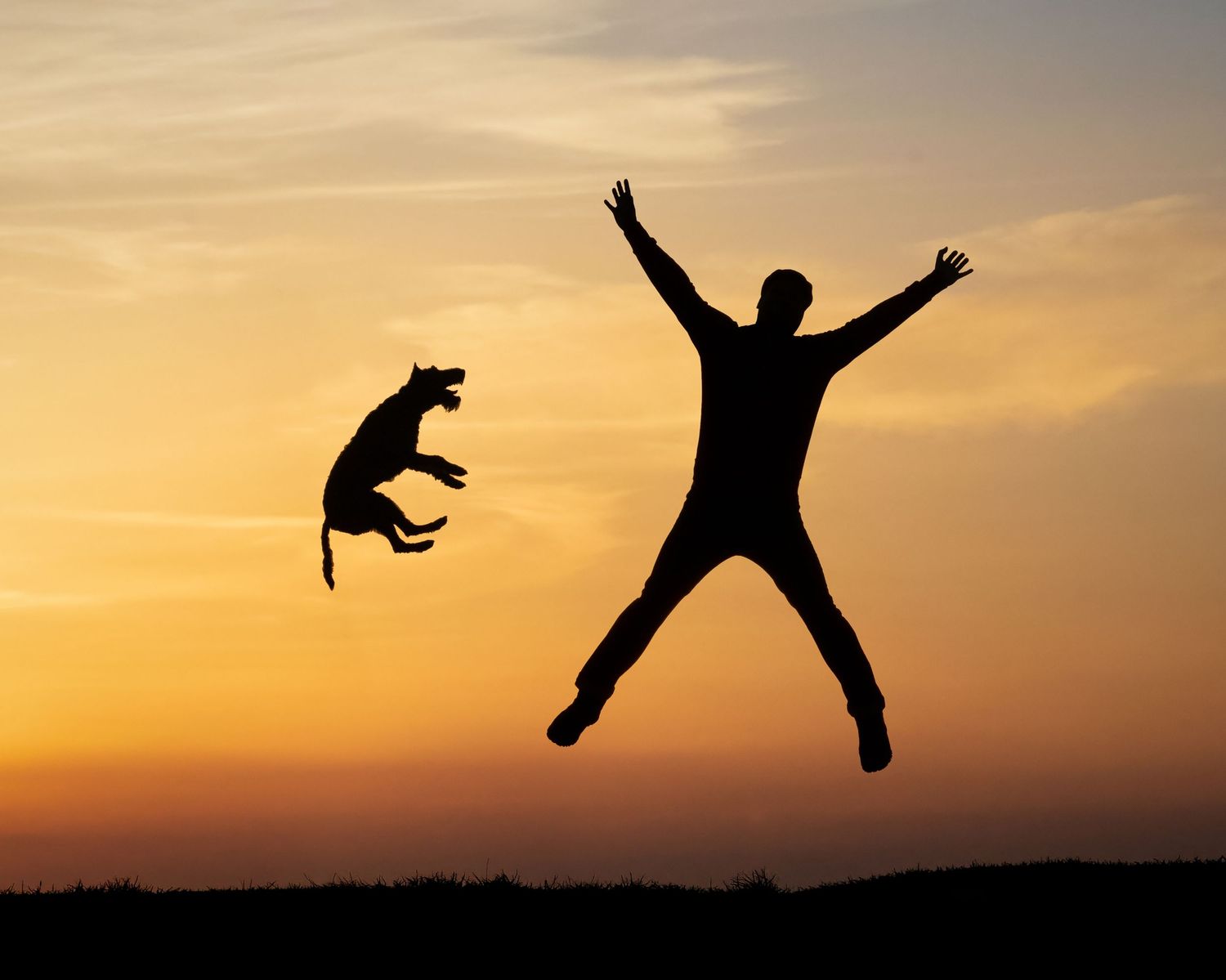 Silhouettes of a person and dog jumping together against an orange sunset sky.