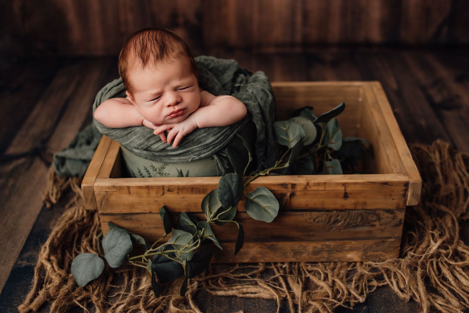 tampa, fl newborn photographer