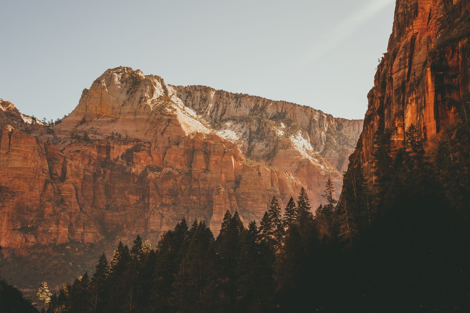 Zions national park in southern utah Michelle Deppe Photography.