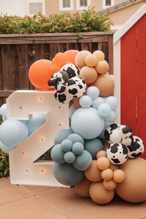 Balloon arch with cow print, orange, blue and beige balloons against a red barn backdrop.