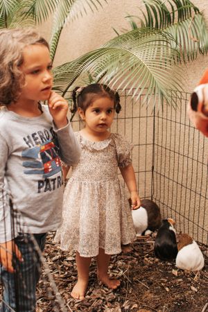 A group plays outdoors near a palm tree and garden fence on a sunny day.