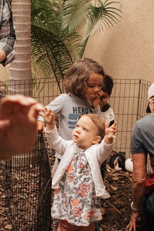 Kids play and interact in an outdoor garden setting with decorative palm trees.