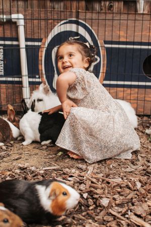 A small child in a lace dress interacts with bunnies and guinea pigs in an outdoor enclosure filled with wood chips.