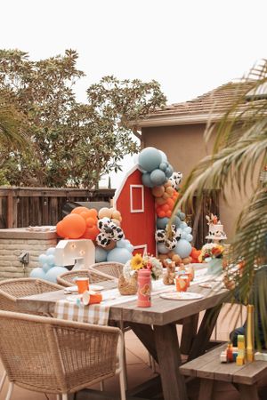 Outdoor party table setup with farm-themed decorations, balloons, and wicker chairs.