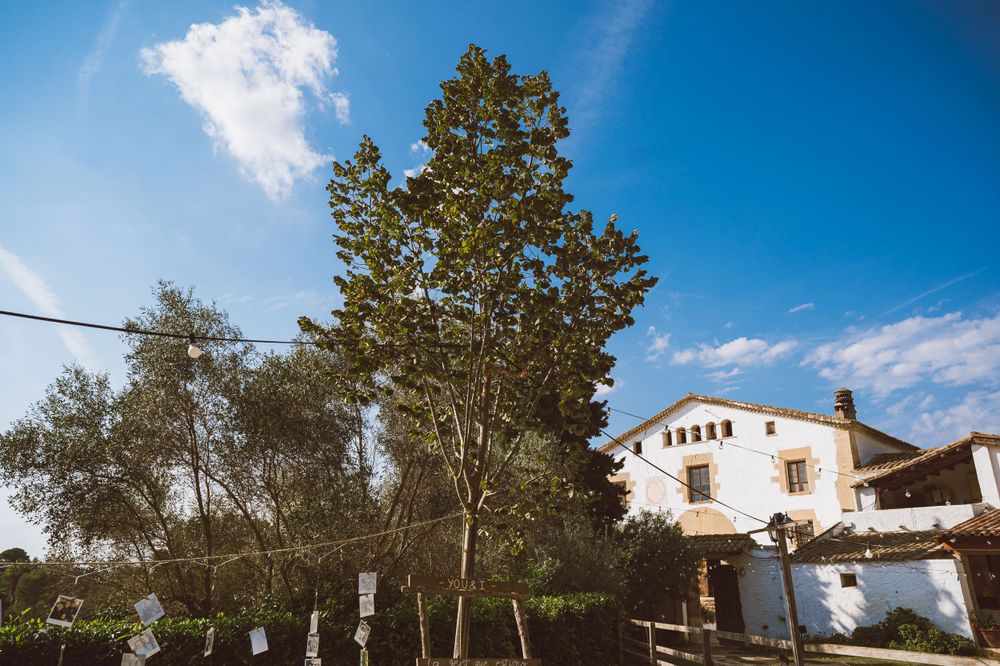 Shutteres - Fotografia de bodas - Valencia, Castellon, Alicante Barcelona