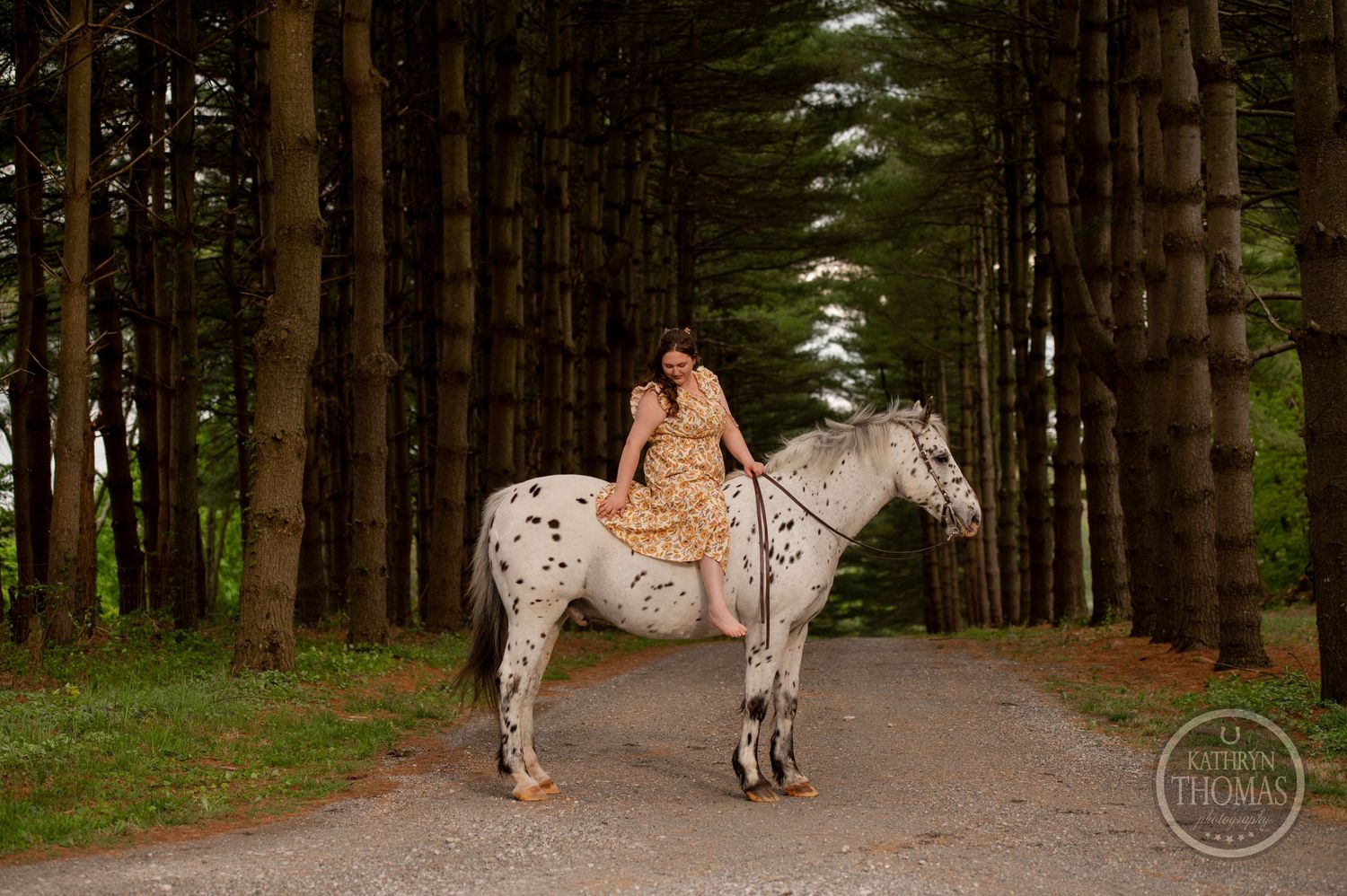 A spotted white horse and rider pose on a tree-lined path in a forest.