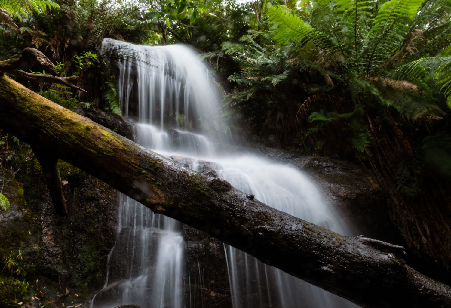 Get a photo of you in the Grampians at a waterfall