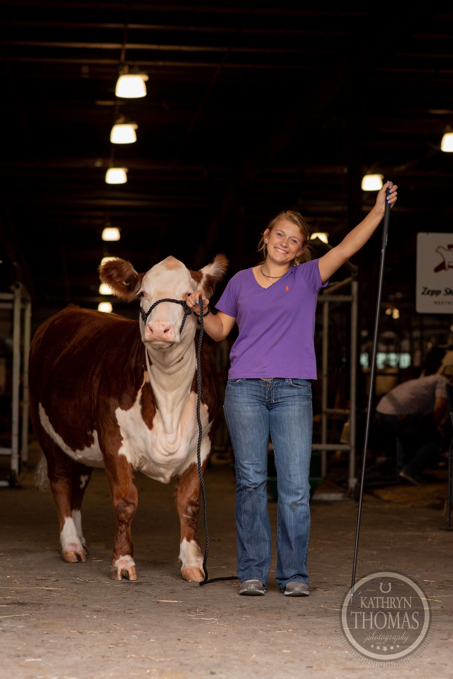 A person in a purple shirt poses with a brown and white show cow under indoor barn lighting.