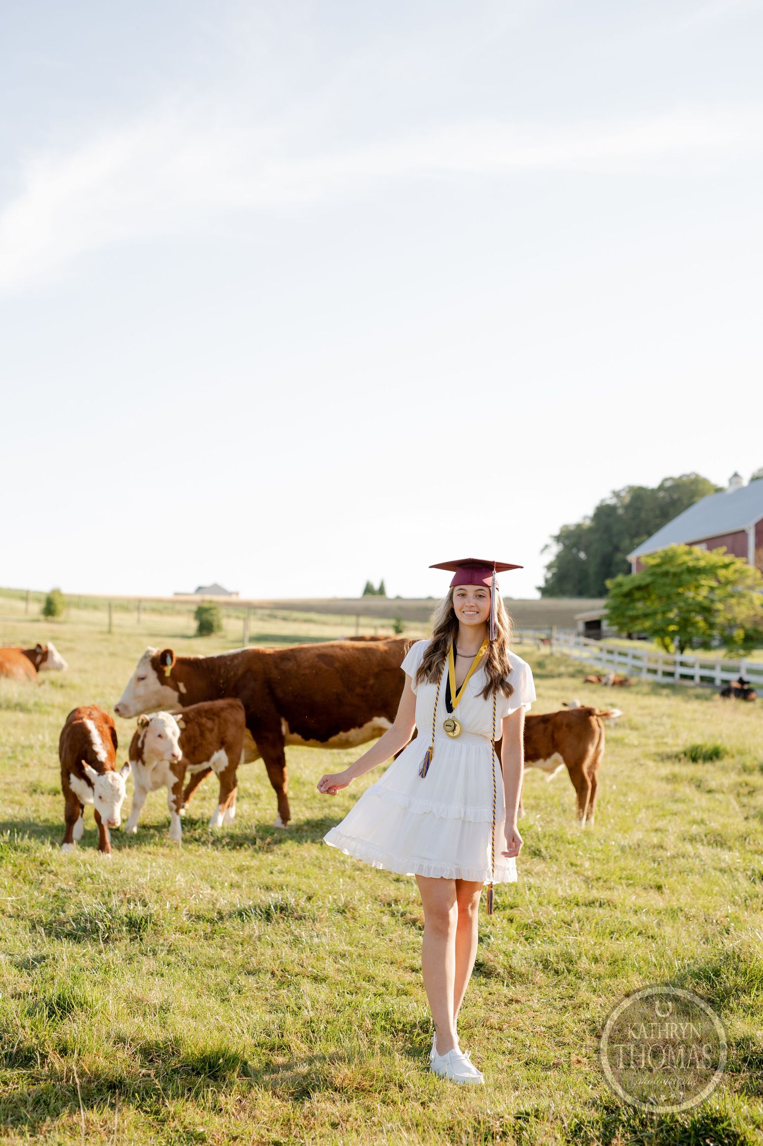 Graduate in white dress and red cap stands in pastoral field with Hereford cattle grazing behind.