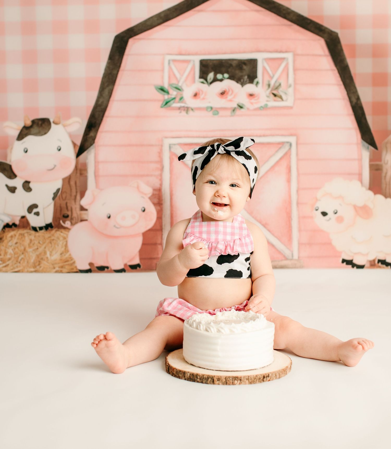 Cake smash session photographer Chillicothe Ohio