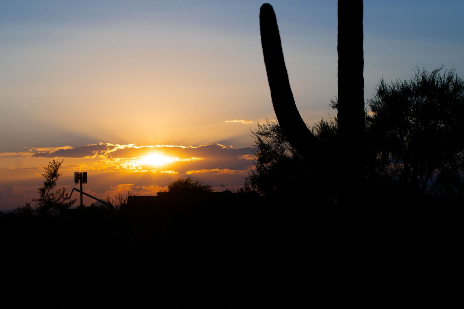 Sunset photos sessions, lets meet at Saguaro National Forest.