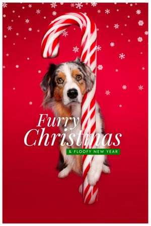 Kerstkaart Australian Shepherd met Candycain