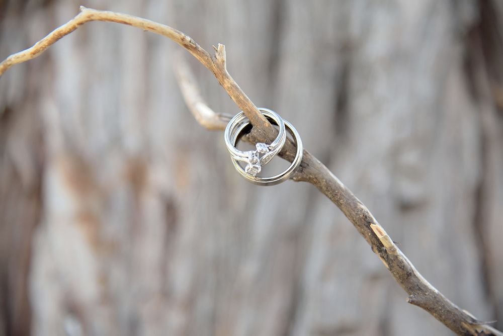 bass lake California destination wedding rings