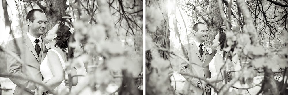 bass lake California destination wedding