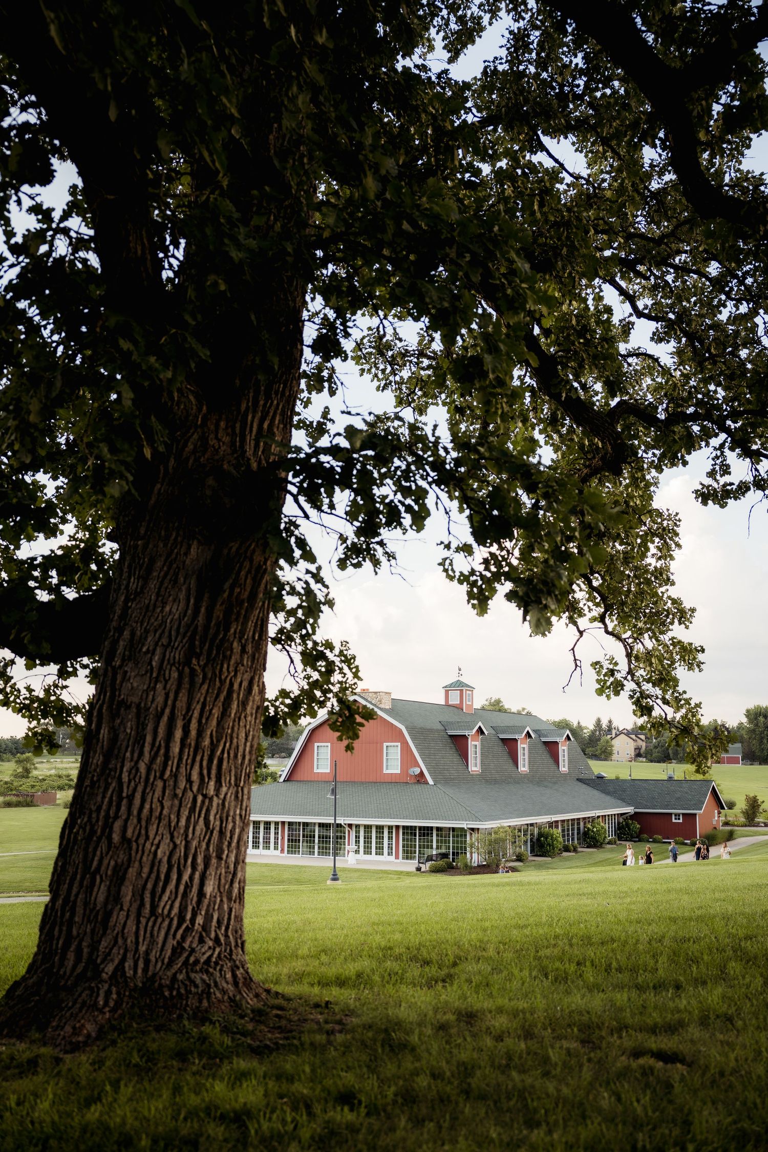 Large tree frames rustic red barn wedding venue on sprawling green lawn.