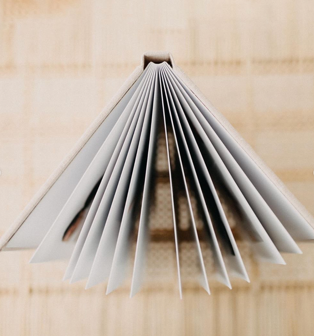 Close-up of white paper pages fanned out in an accordion style pattern.