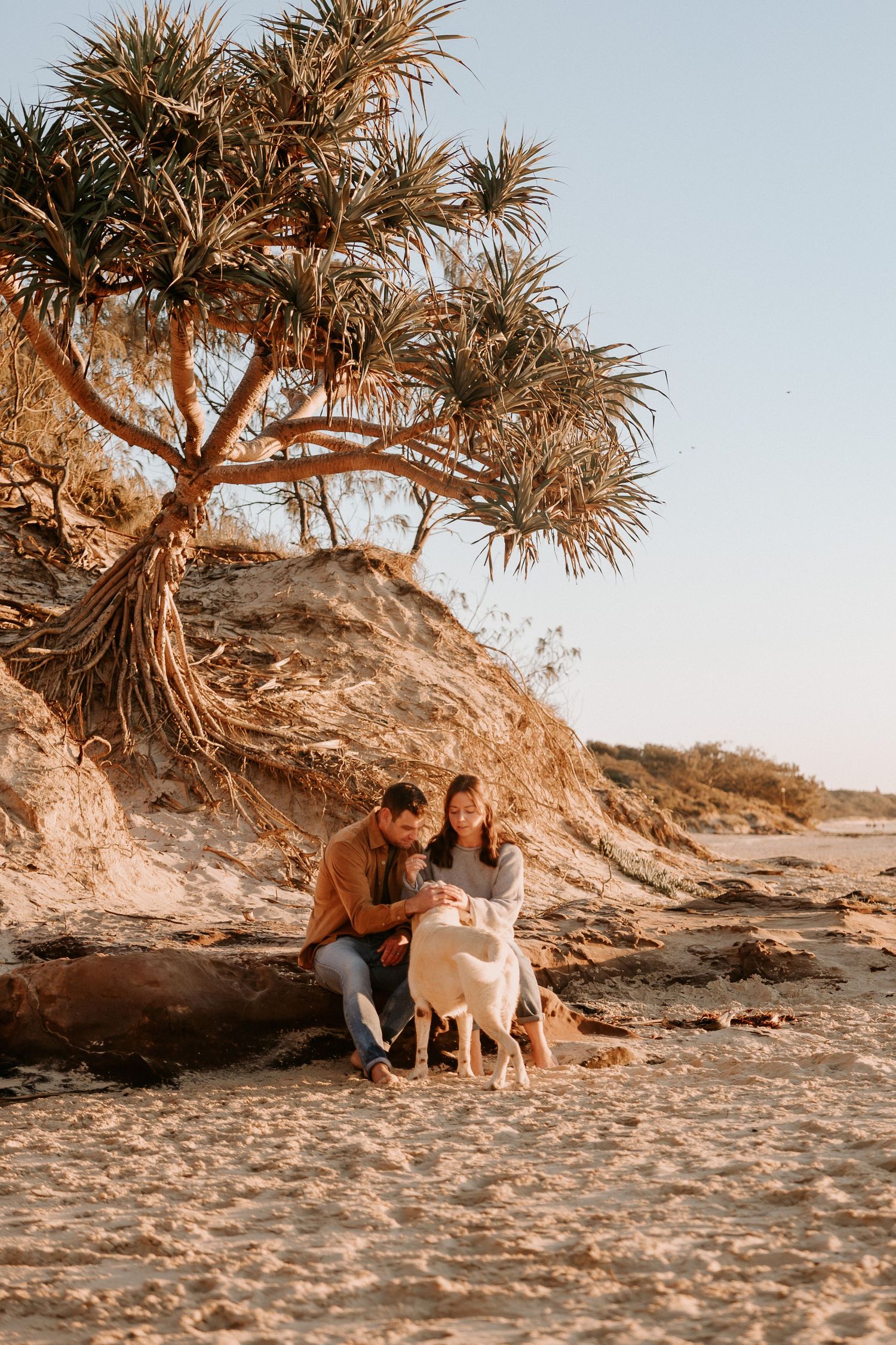 A couple and their white dog sit together on a sandy beach beneath a palm tree during golden hour.
