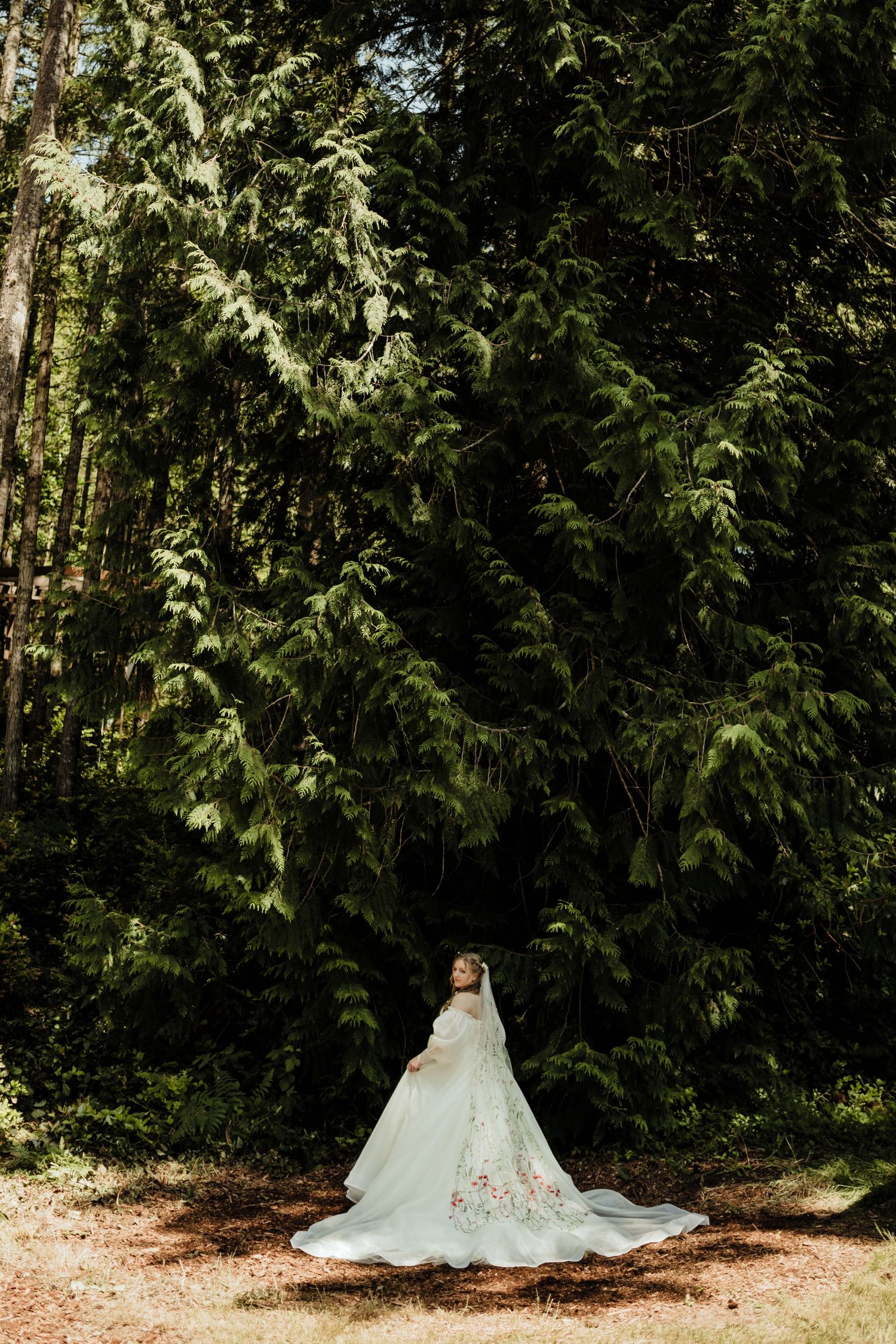 Bride Against a Tall Tree Backdrop Intimate Backyard Wedding: Olalla Washington