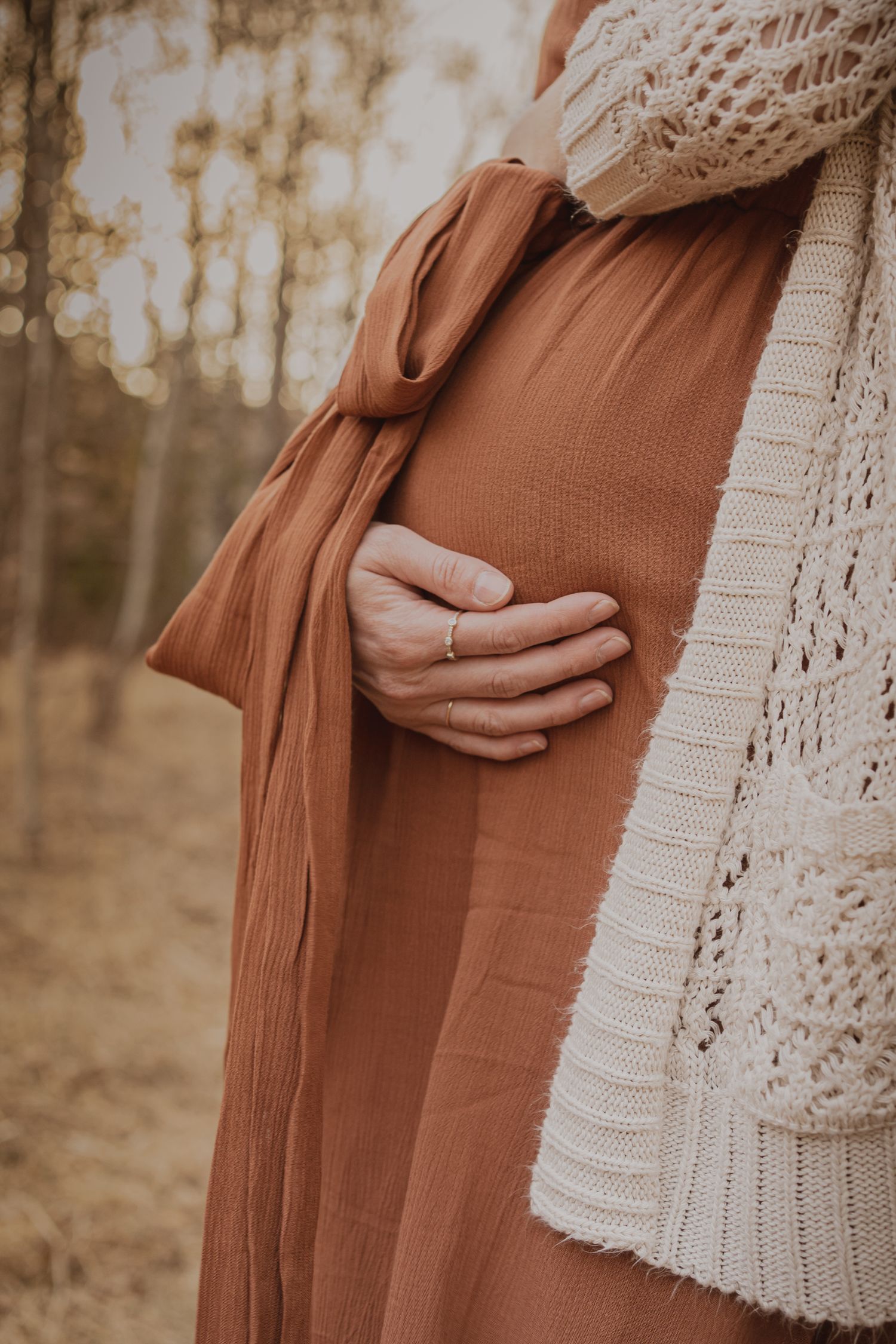 Autumn maternity photo showing hands cradling belly in rust-colored dress and cream sweater.