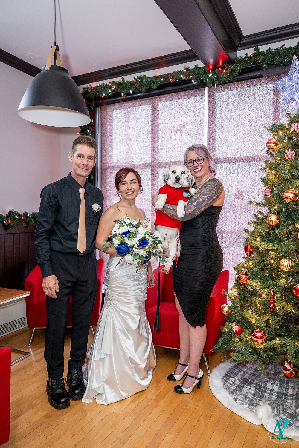 Wedding celebration with adorable white dog wearing red sweater by decorated Christmas tree.