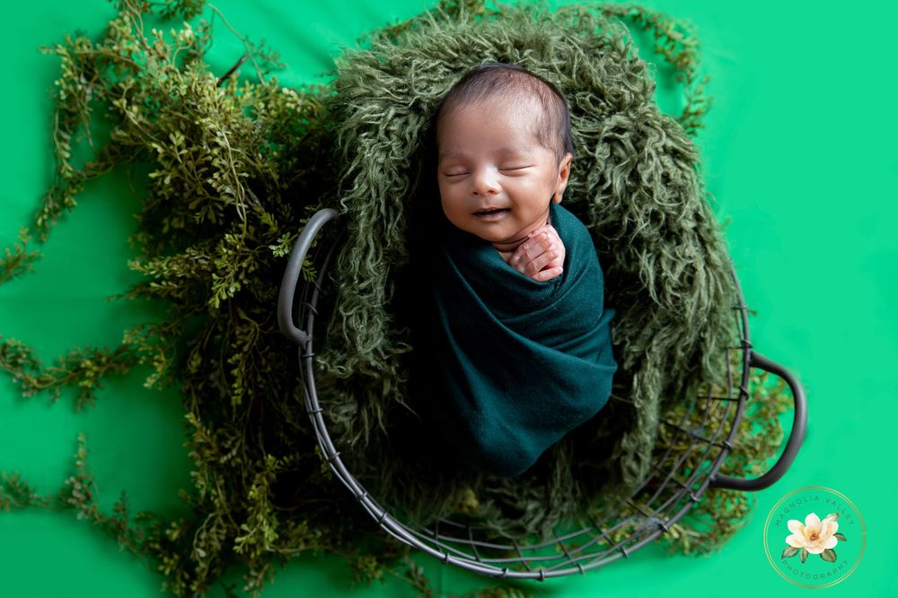 Newborn photographer, Philadelphia pa, magnolia valley photography