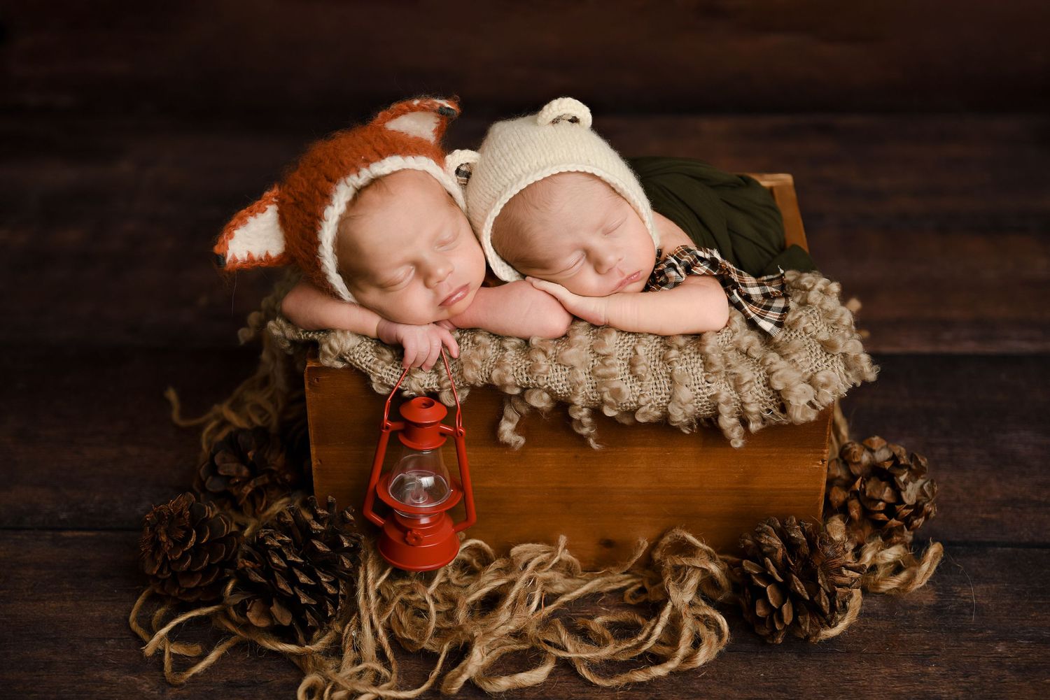 Twin newborns sleeping in a wooden box wearing fox and bear hats, surrounded by pinecones and a red lantern.
