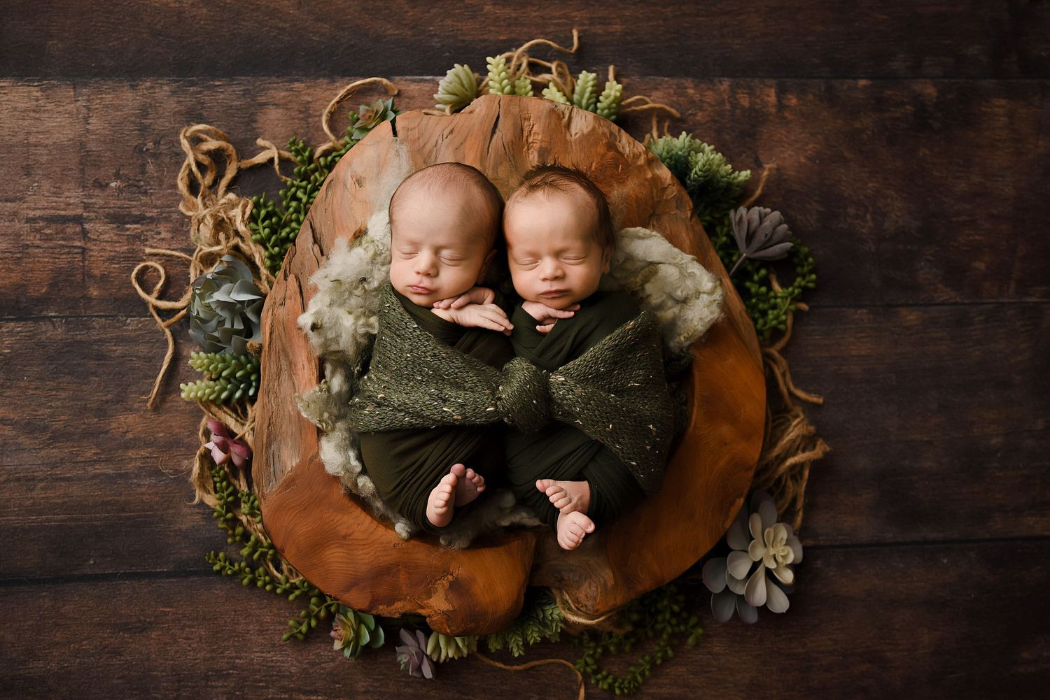Twin newborns wrapped in green swaddles sleeping in a round wooden bowl with succulents and greenery.