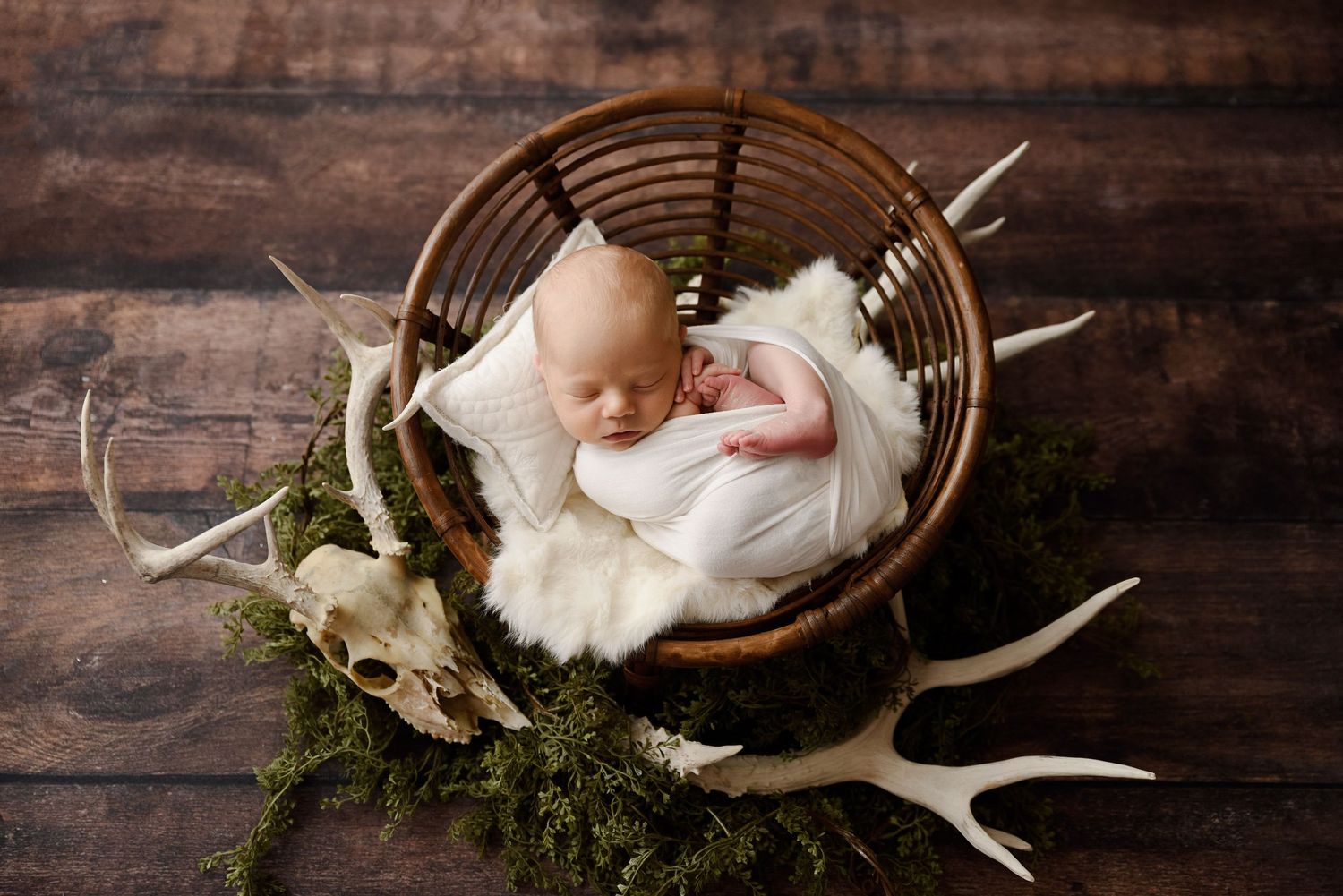 Sleeping newborn wrapped in white swaddled in rustic basket with antlers and moss in studio newborn photo.