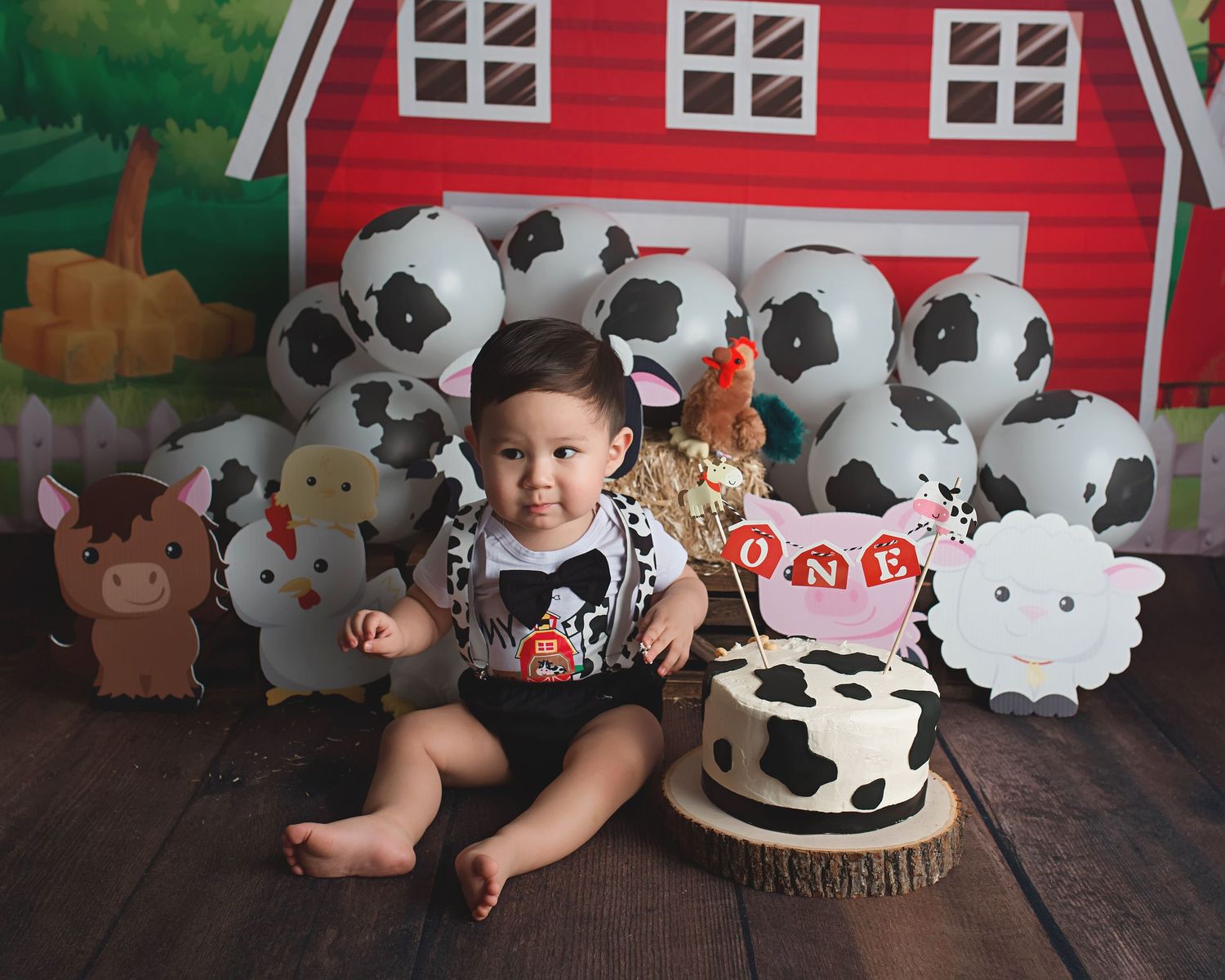 Farm themed cake smash setup with cow print decorations and red barn background.