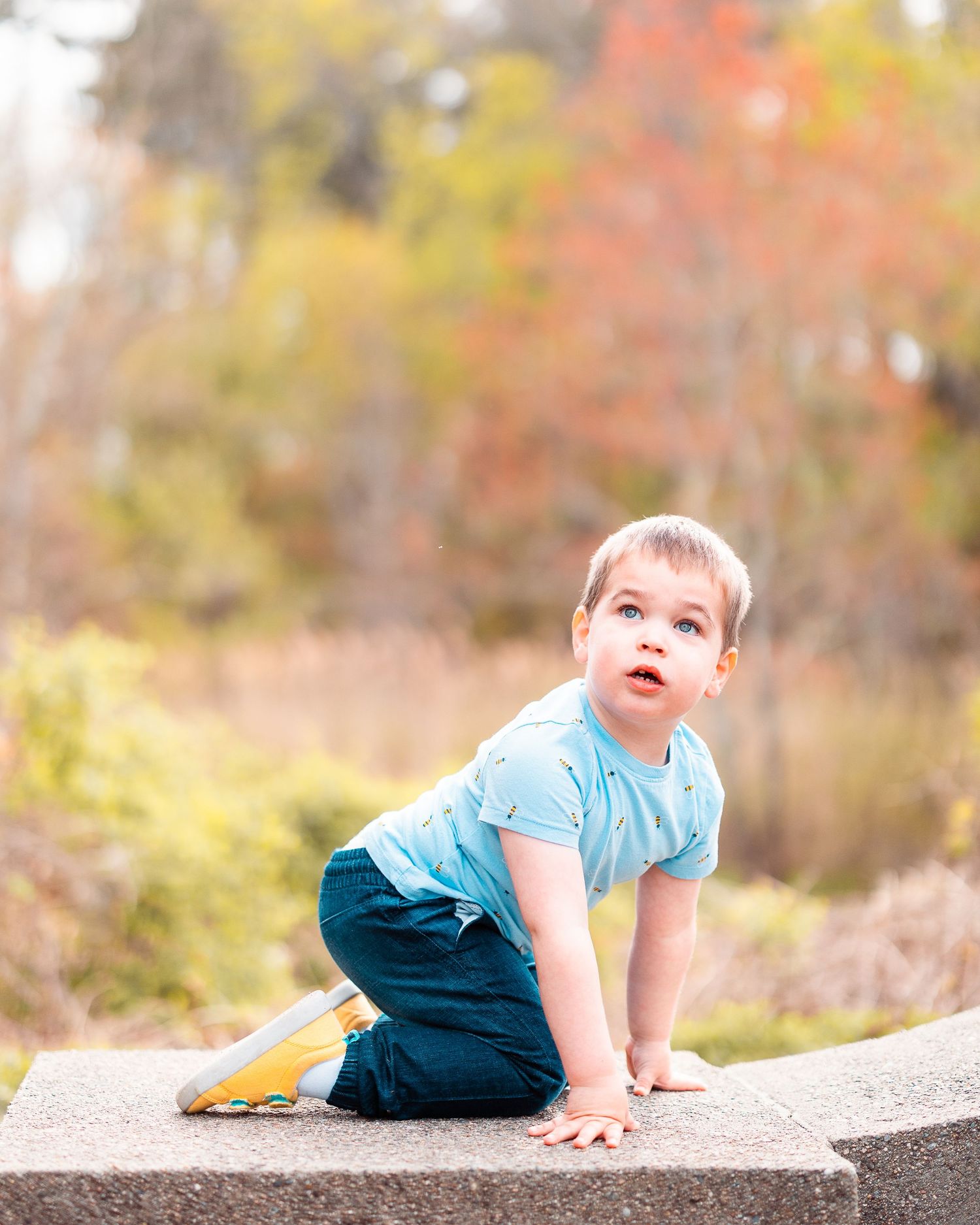 Baby and Toddler Photographer in Walpole MA