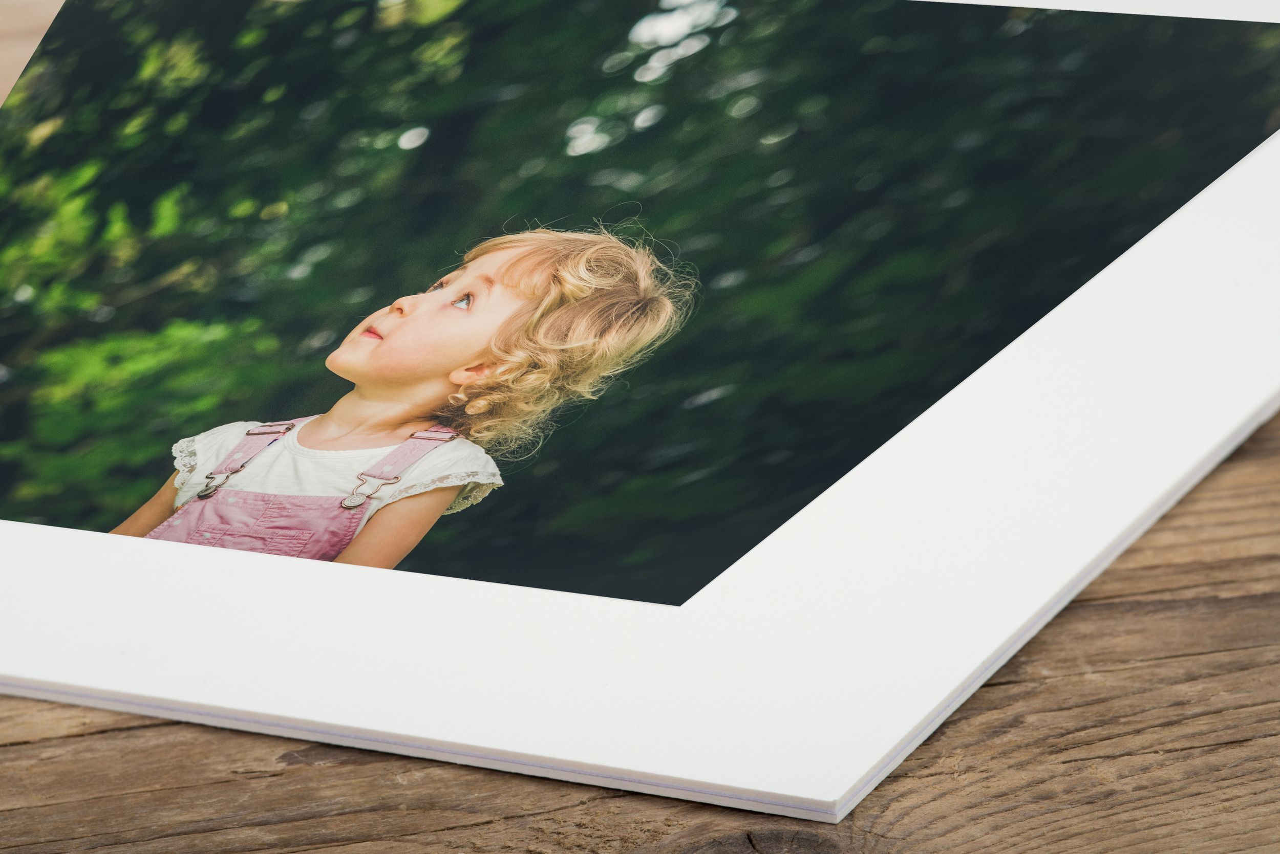 Mounted Prints
