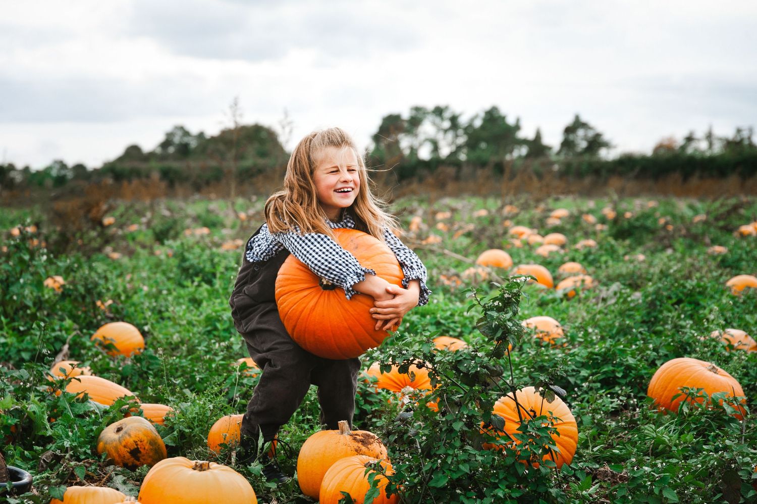 pumpkin field photoshoot by kara jade photography