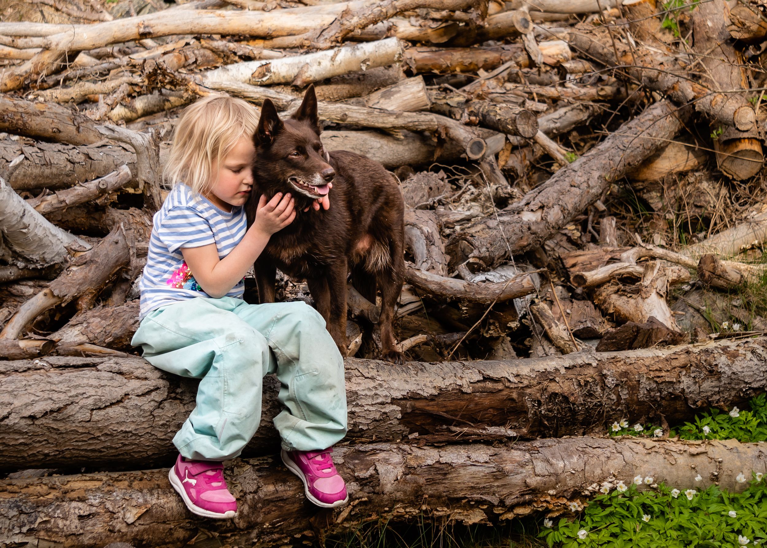 Hund og barn, hundefoto, hundefotograf, hund til nytte og glede, fotograf Bærum
