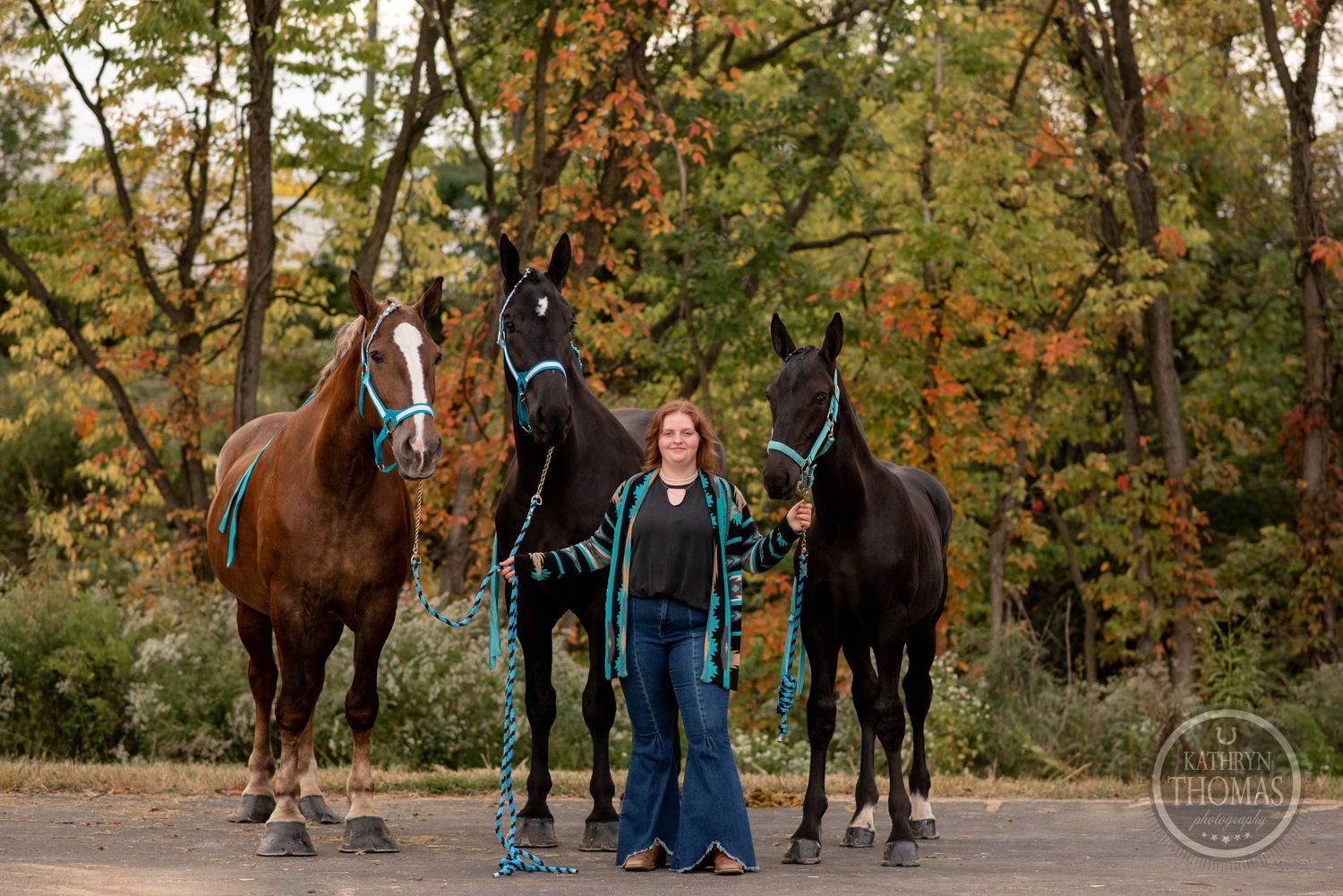 Three horses with blue halters and handler pose on path with autumn trees.