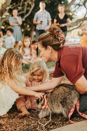 People petting a large fluffy raccoon during an outdoor gathering.