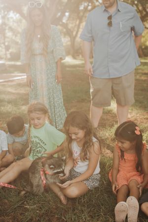 Group interacting with a raccoon during a sunny outdoor gathering.